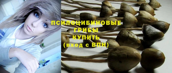 mdpv Покачи