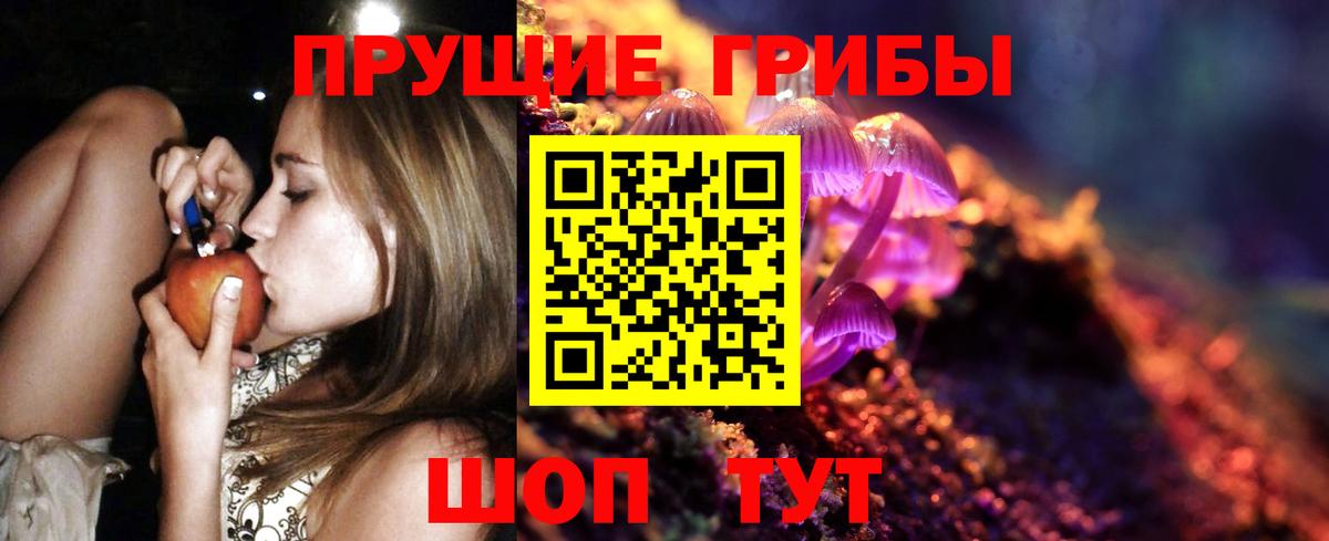 Псилоцибиновые грибы GOLDEN TEACHER Сальск