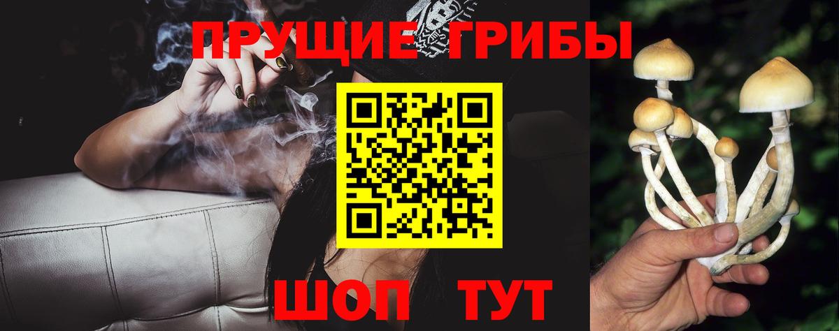 Галлюциногенные грибы Magic Shrooms  Псилоцибиновые грибы мицелий  где найти   Вход с VPN  Сальск 