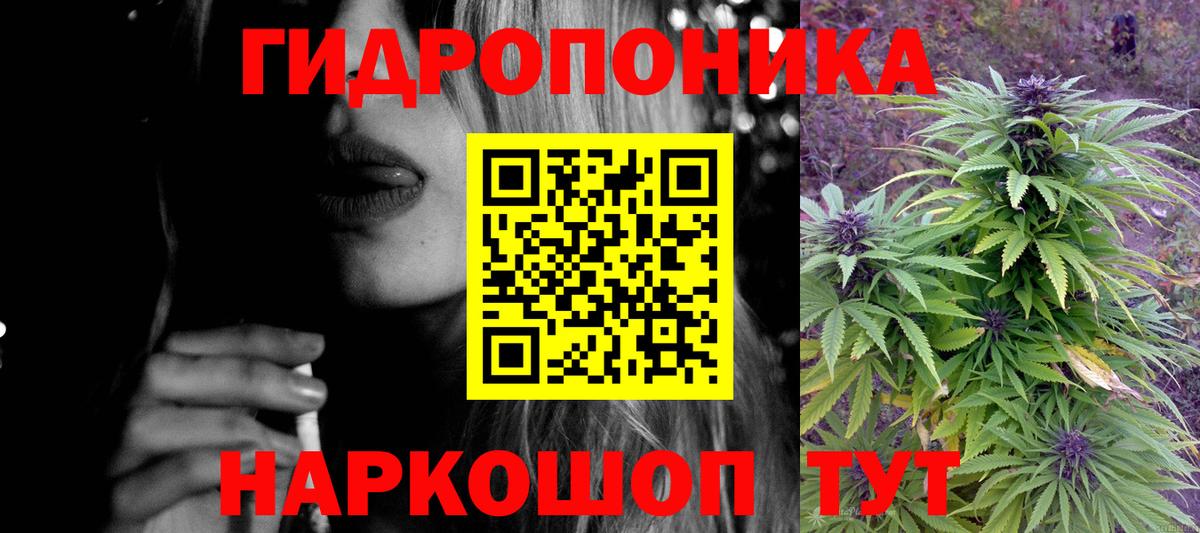 Марихуана SATIVA & INDICA  Вход с VPN  Сальск  Бошки марихуана марихуана 